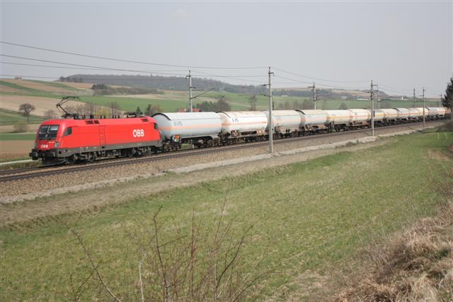 IMG_6767 (Small).JPG