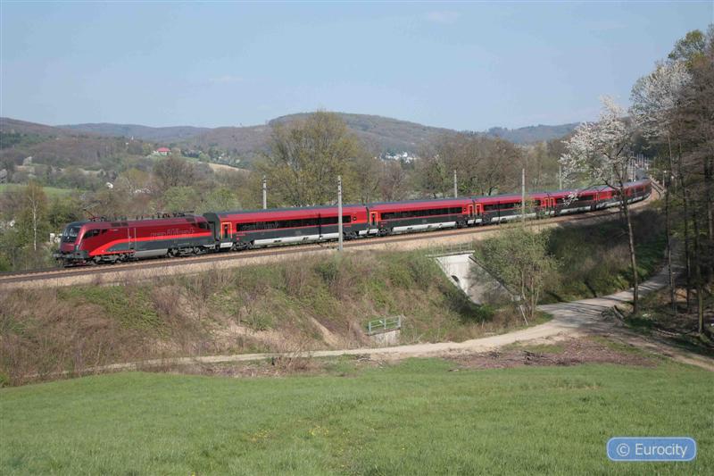 IMG_7453_ (Medium).jpg