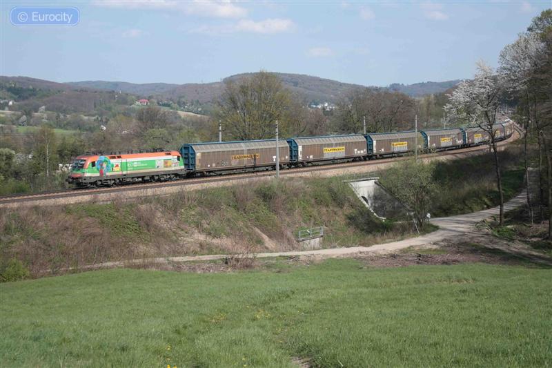 IMG_7439_ (Medium).jpg