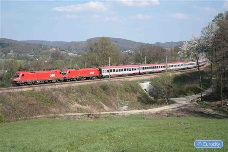 IMG_7436_ (Medium).jpg