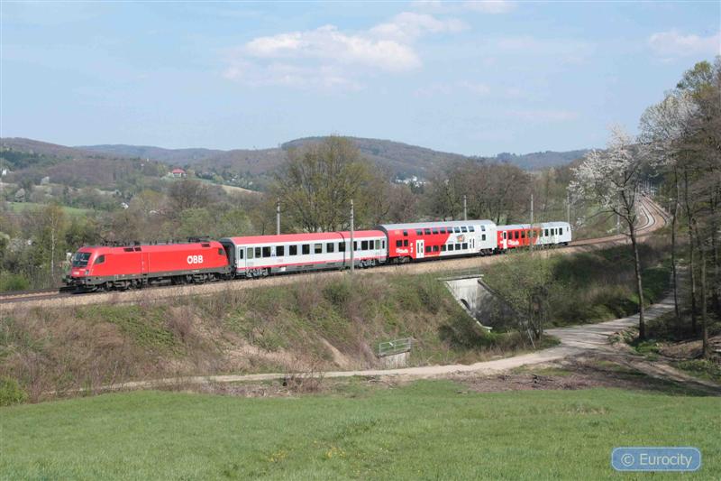 IMG_7434_ (Medium).jpg