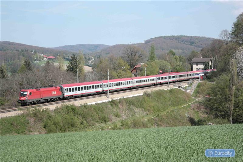 IMG_7424_ (Medium).jpg