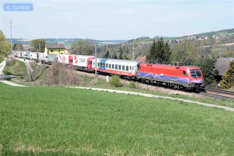 IMG_7401_ (Medium).jpg