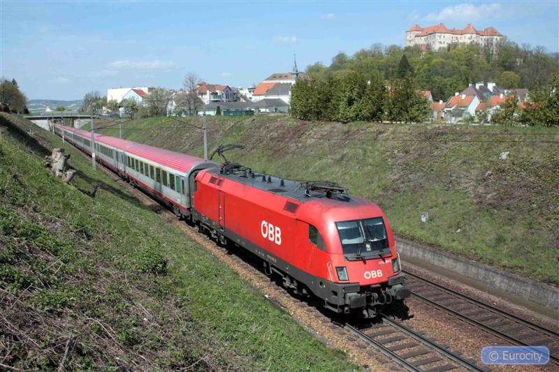 IMG_7371_ (Medium).jpg