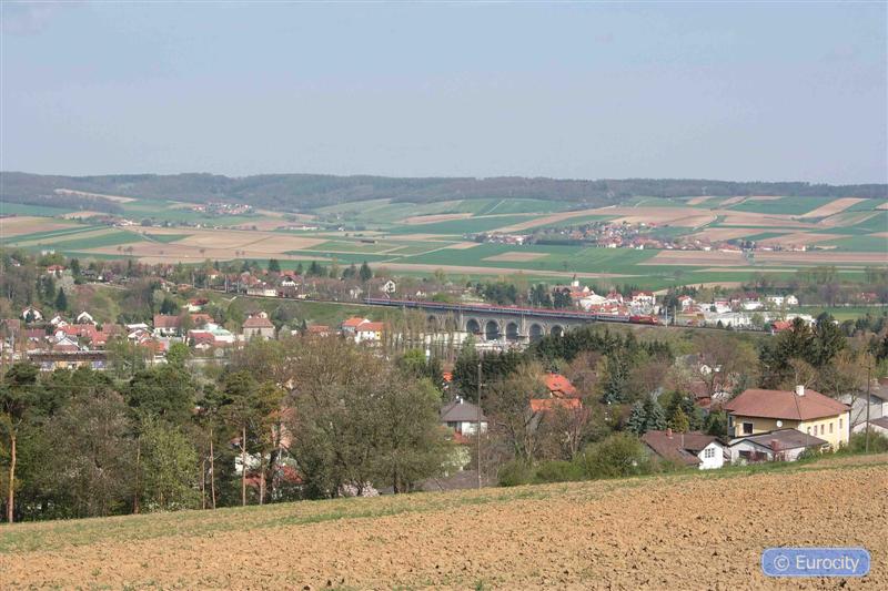 IMG_7325_ (Medium).jpg