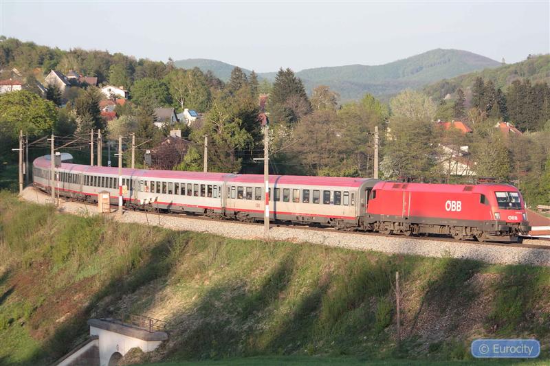 IMG_7536 (Medium).jpg