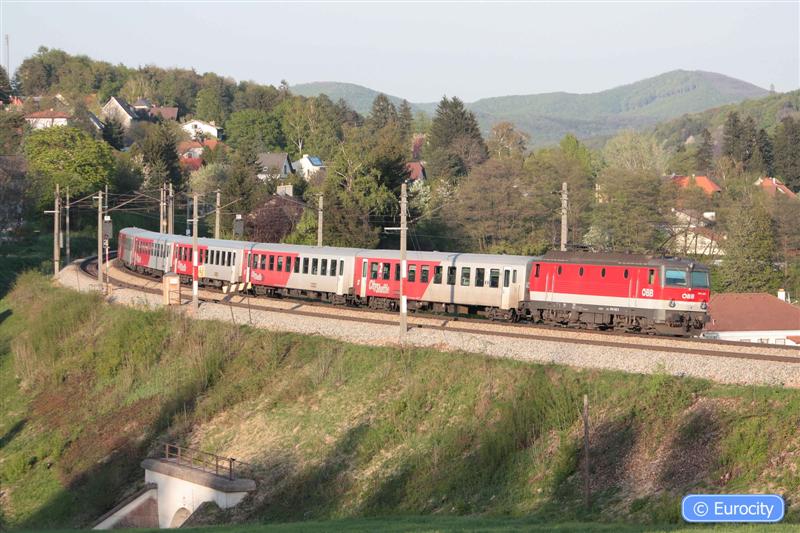 IMG_7534 (Medium).jpg