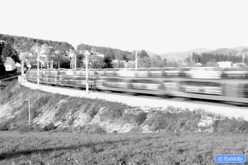 IMG_7531 (Medium).jpg