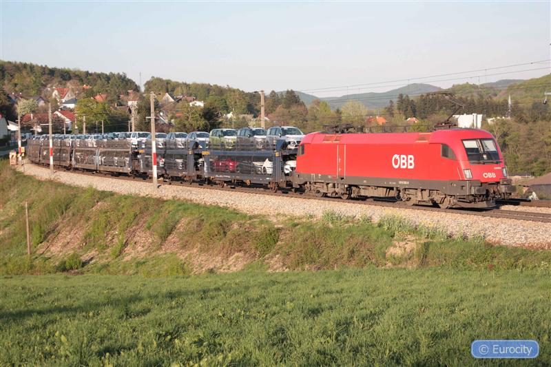 IMG_7530 (Medium).jpg