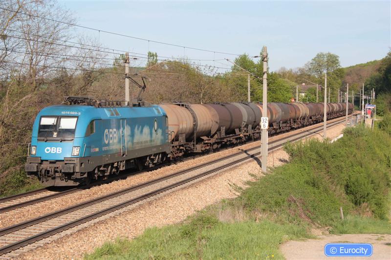 IMG_7524 (Medium).jpg