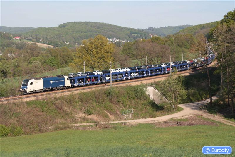 IMG_7516 (Medium).jpg