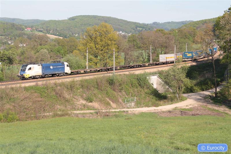 IMG_7507 (Medium).jpg