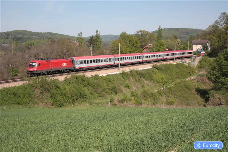 IMG_7496 (Medium).jpg