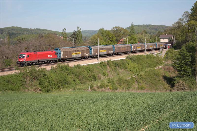 IMG_7490 (Medium).jpg