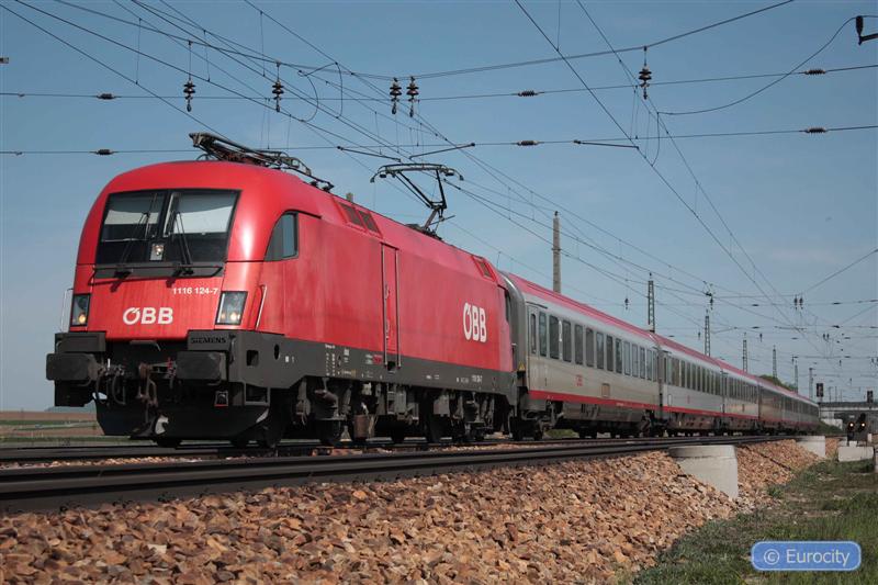 IMG_7487 (Medium).jpg