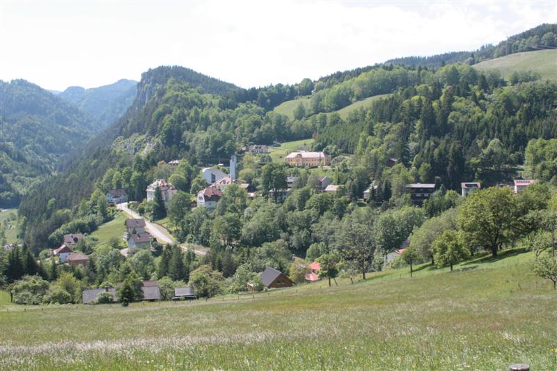 IMG_7926 (Medium).JPG