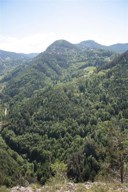 IMG_7921 (Medium).JPG