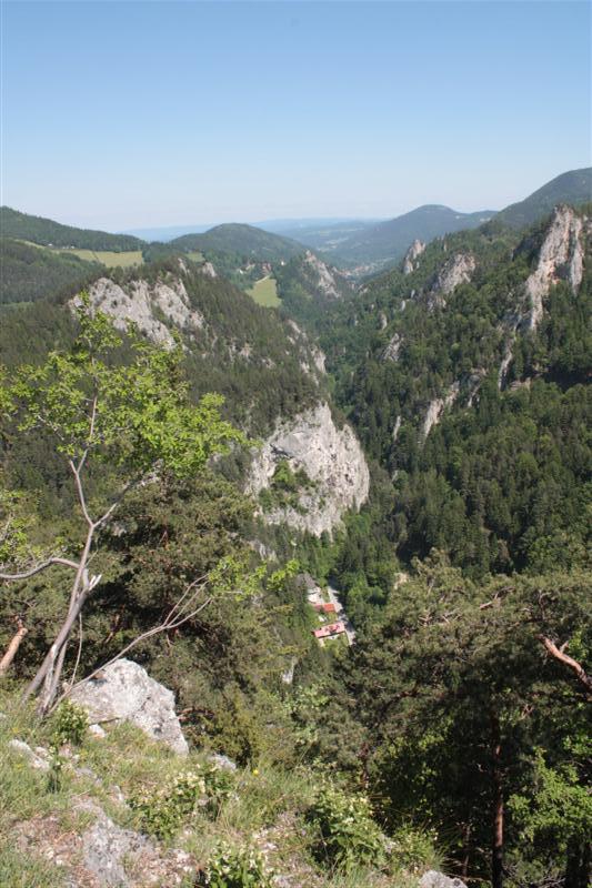 IMG_7920 (Medium).JPG