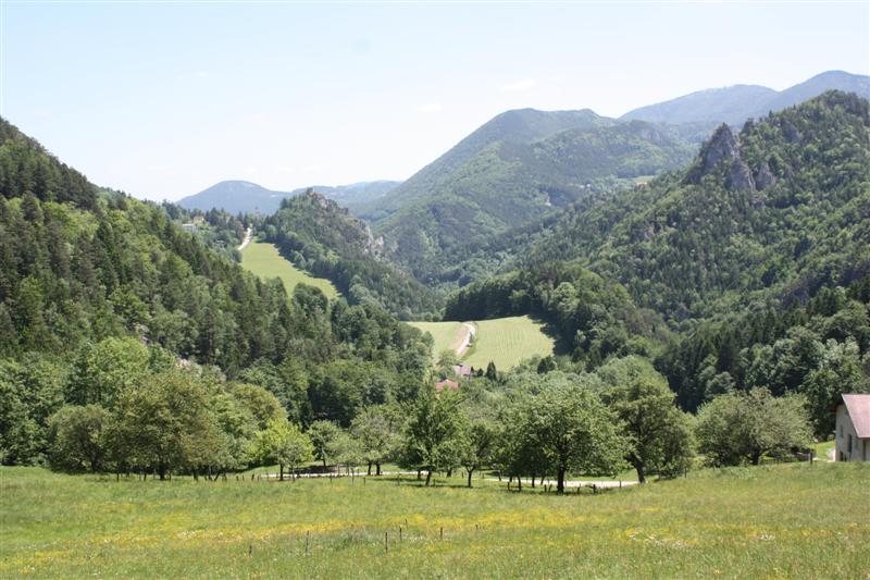 IMG_7897 (Medium).JPG