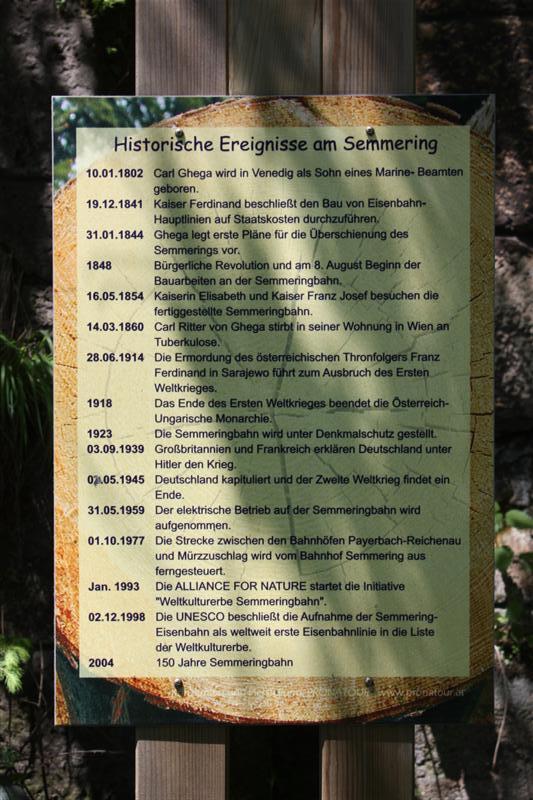 IMG_7896 (Medium).JPG