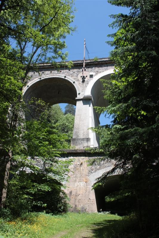 IMG_7884 (Medium).JPG