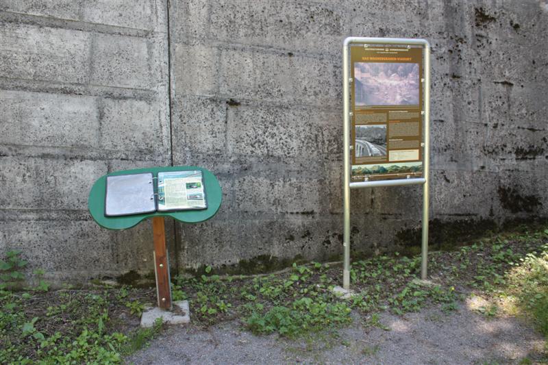 IMG_7883 (Medium).JPG