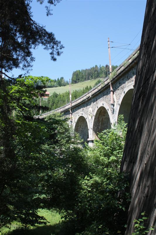 IMG_7882 (Medium).JPG