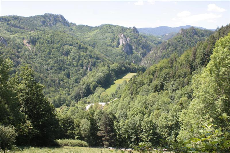 IMG_7881 (Medium).JPG