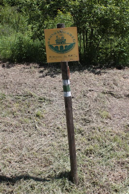 IMG_7880 (Medium).JPG