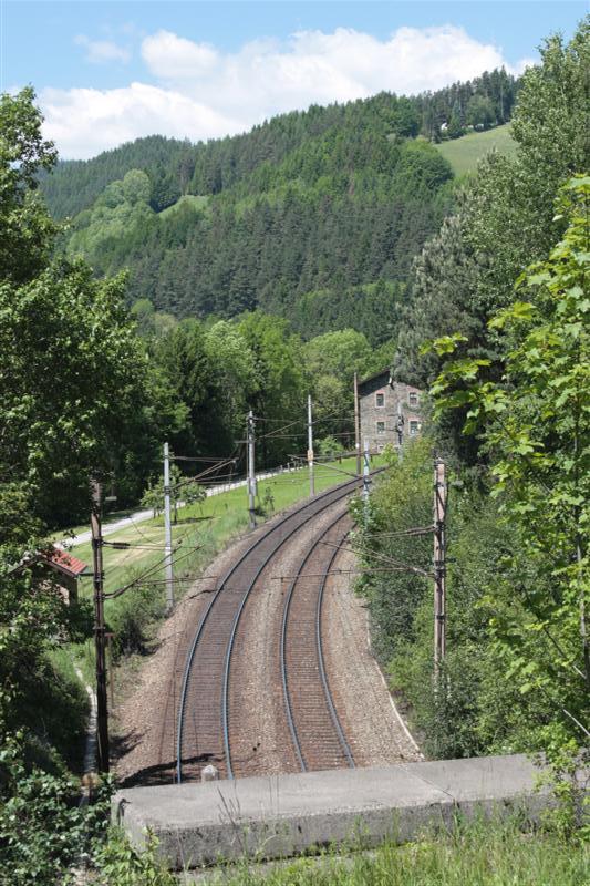 IMG_7878 (Medium).JPG