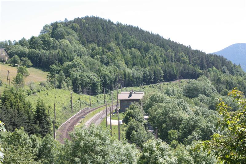 IMG_7877 (Medium).JPG