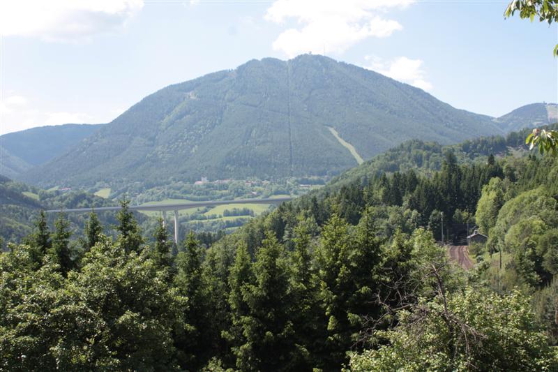 IMG_7875 (Medium).JPG