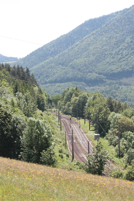 IMG_7873 (Medium).JPG