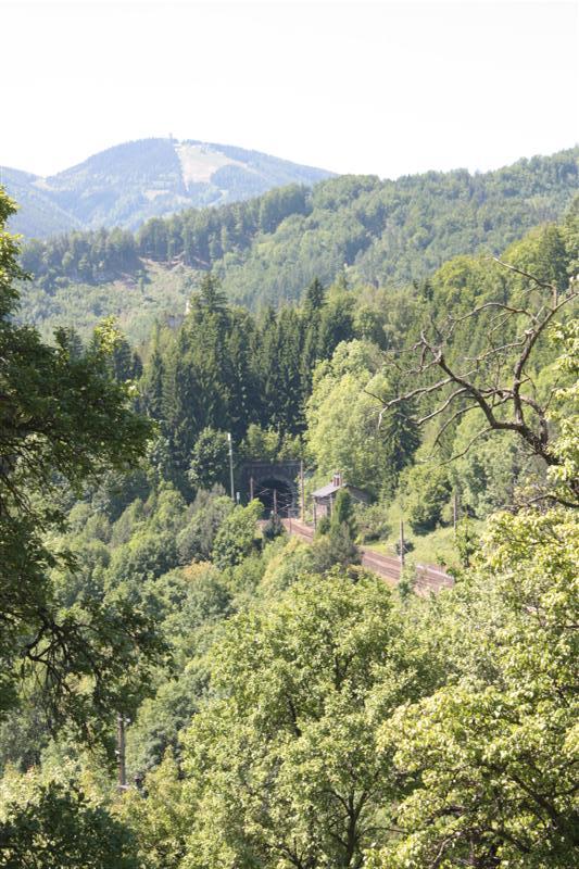 IMG_7874 (Medium).JPG