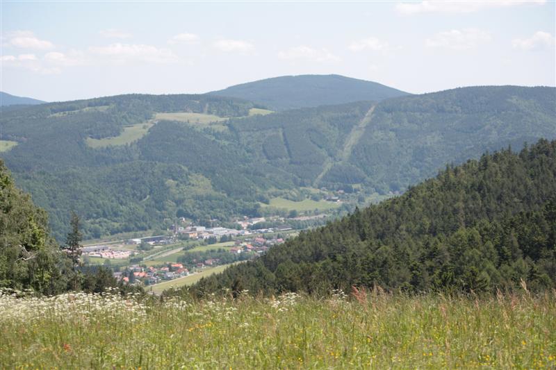 IMG_7870 (Medium).JPG