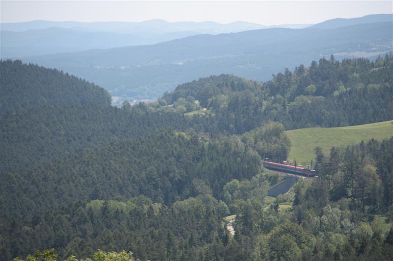 IMG_7869 (Medium).JPG