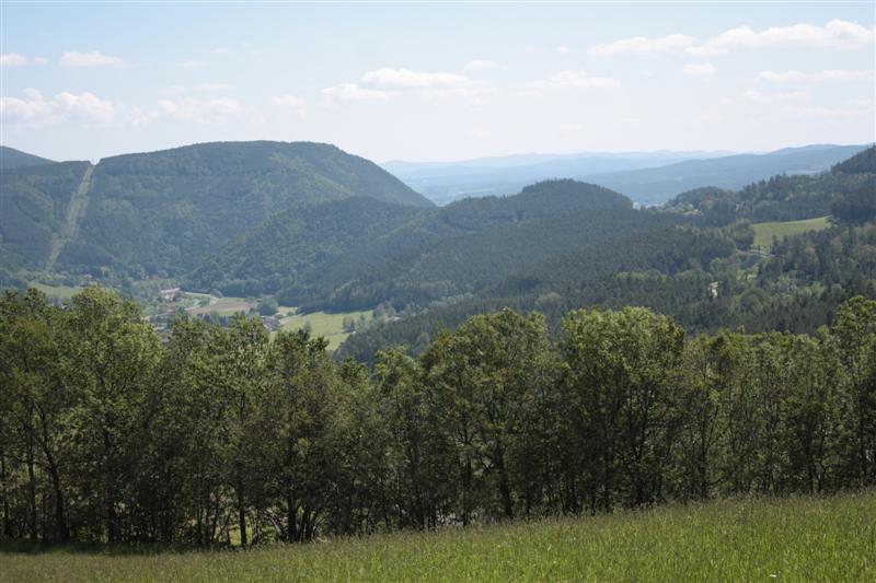 IMG_7867 (Medium).JPG