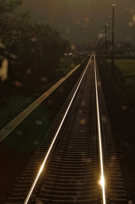 gegenlicht.jpg