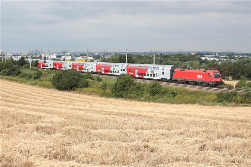 IMG_8848 (Medium).jpg