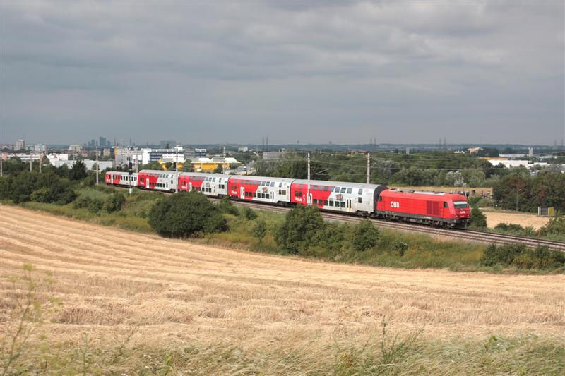 IMG_8845 (Medium).jpg