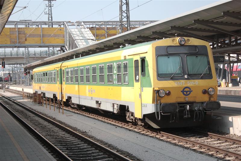 IMG_8869 (Medium).jpg