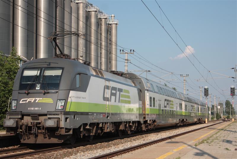 IMG_9032 (Medium).jpg