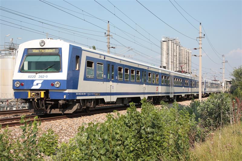 IMG_9024 (Medium).jpg