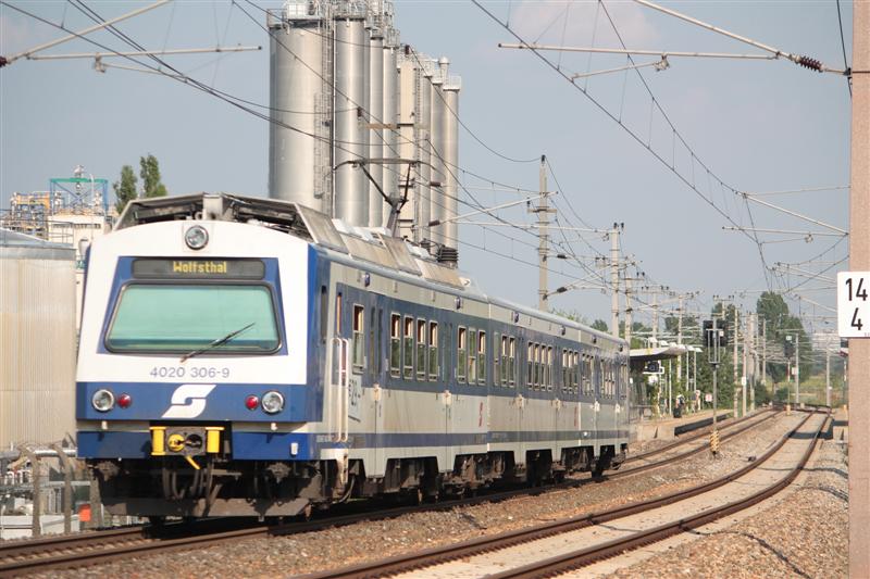 IMG_9020 (Medium).jpg