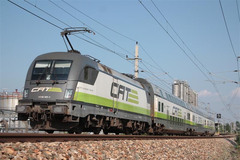 IMG_9016 (Medium).jpg