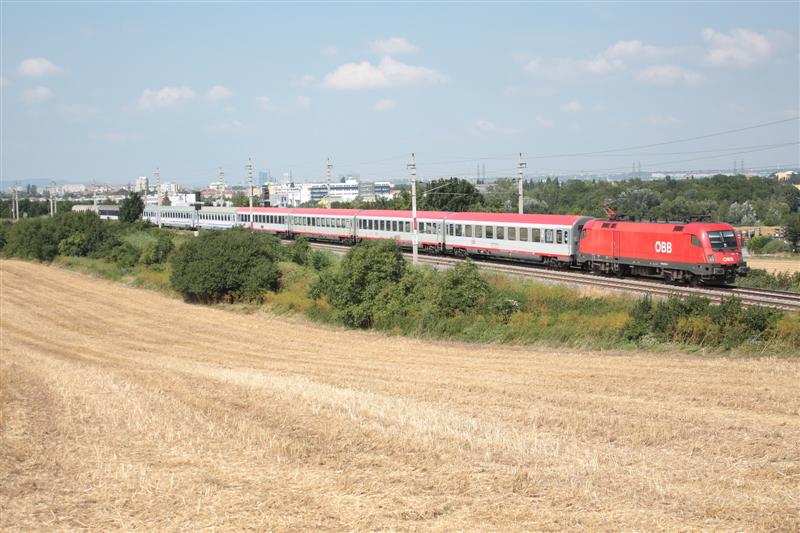 IMG_9113 (Medium).jpg