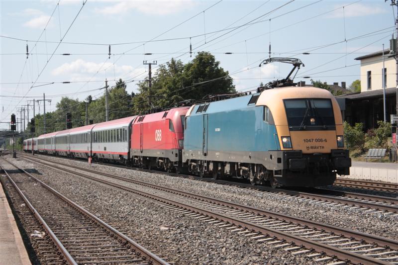 IMG_9045 (Medium).JPG