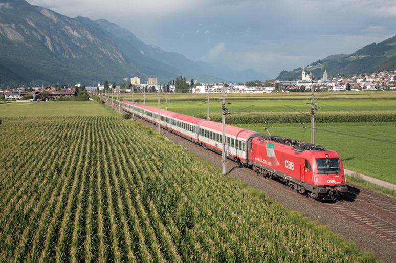 2010_08_08_IMG_0485 (Medium).jpg