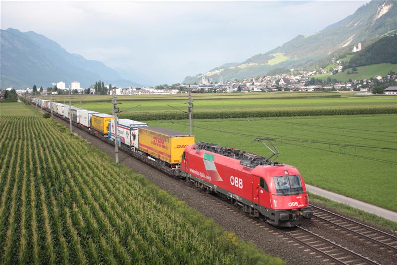 2010_08_08_IMG_0480 (Medium).JPG