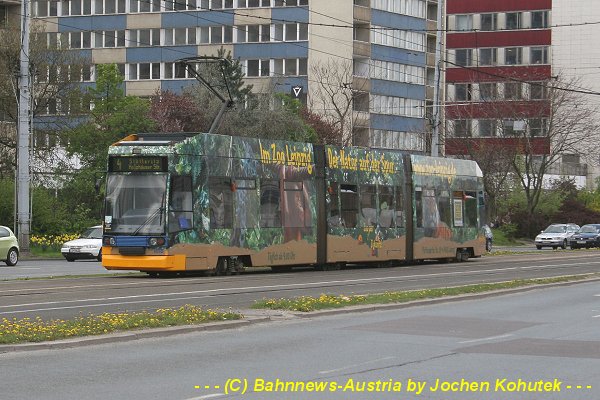 NGT8D-1118-HBF.jpg
